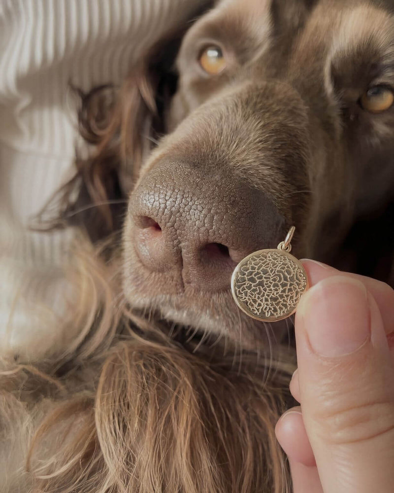 Nasenabdruck Schmuck