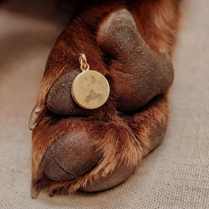 color:gold:kette:anker-kugelkette