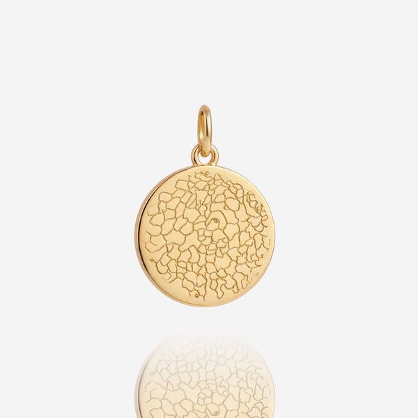 Nasenabdruck Charm Echtgold