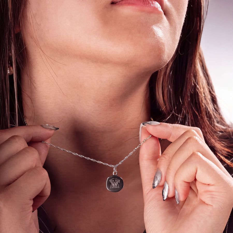 color:weißgold:kette:singapurkette