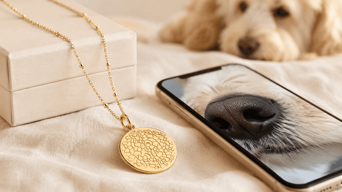 Goldene Nasenabdruck-Kette für Hunde neben Smartphone mit Hundenasen-Foto als Personalisierungsvorlage